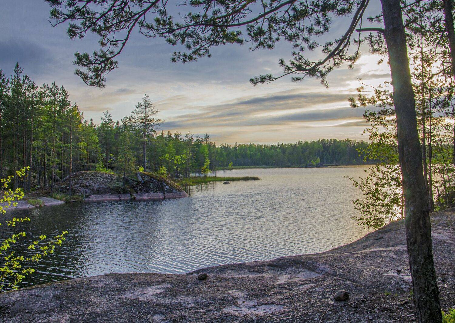 , Александр Березуцкий