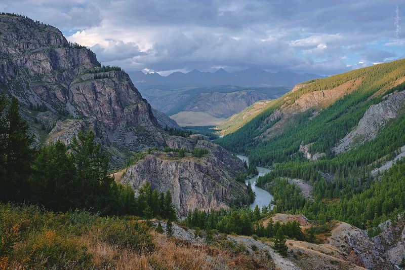 горы, алтай, река, чуя, мажой, маашей, долина, лес, тайга Долина фото превью