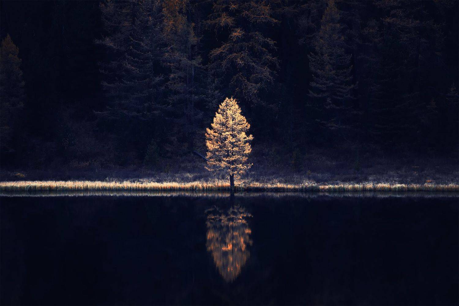 , Вадим Кононенко