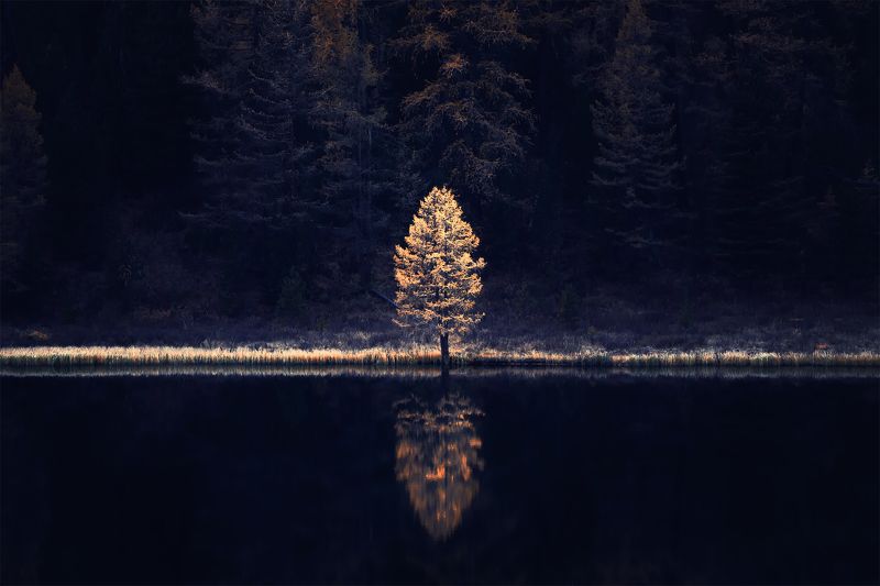 И один в поле... фото превью