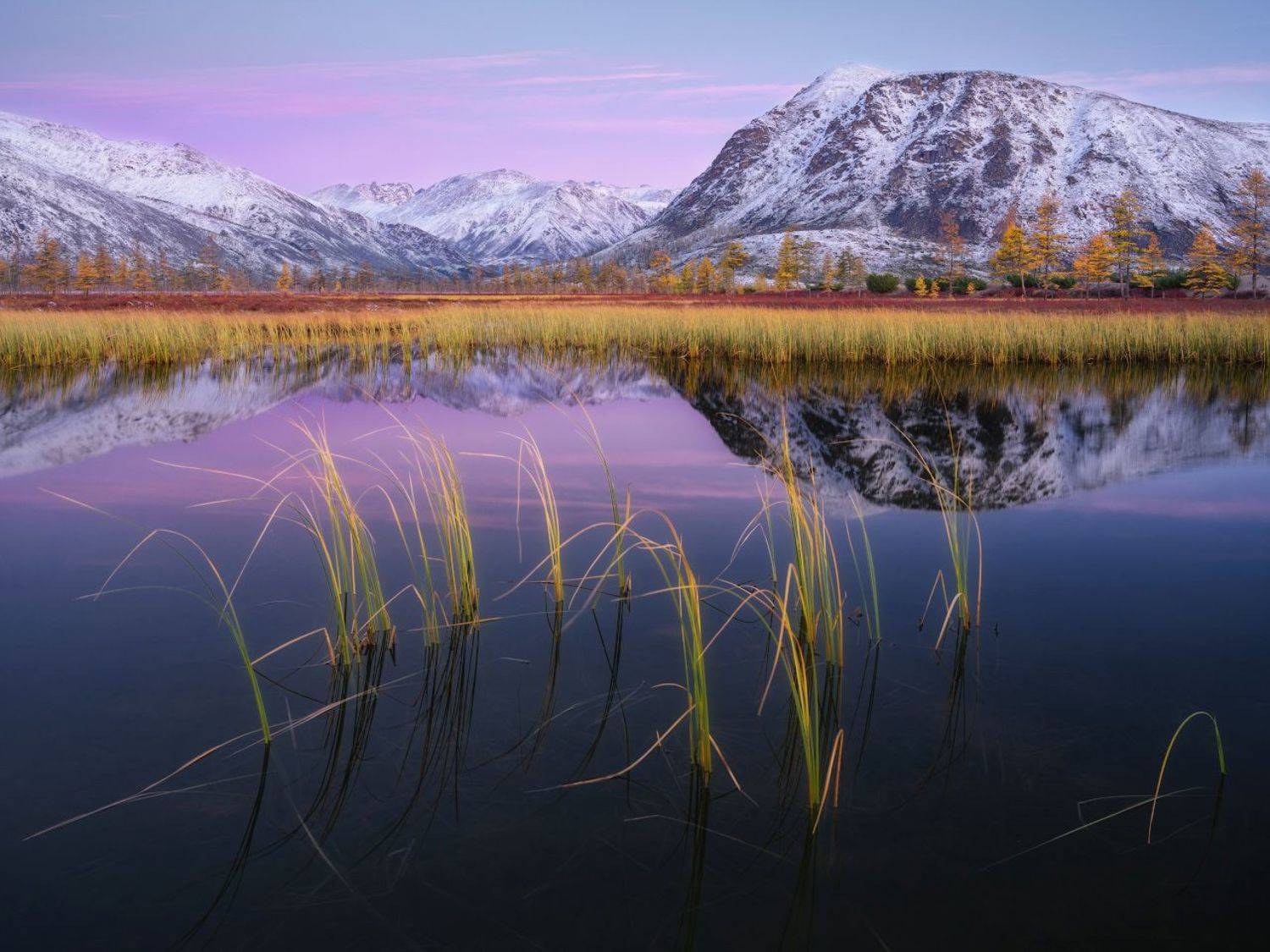 , Дмитрий Медянцев