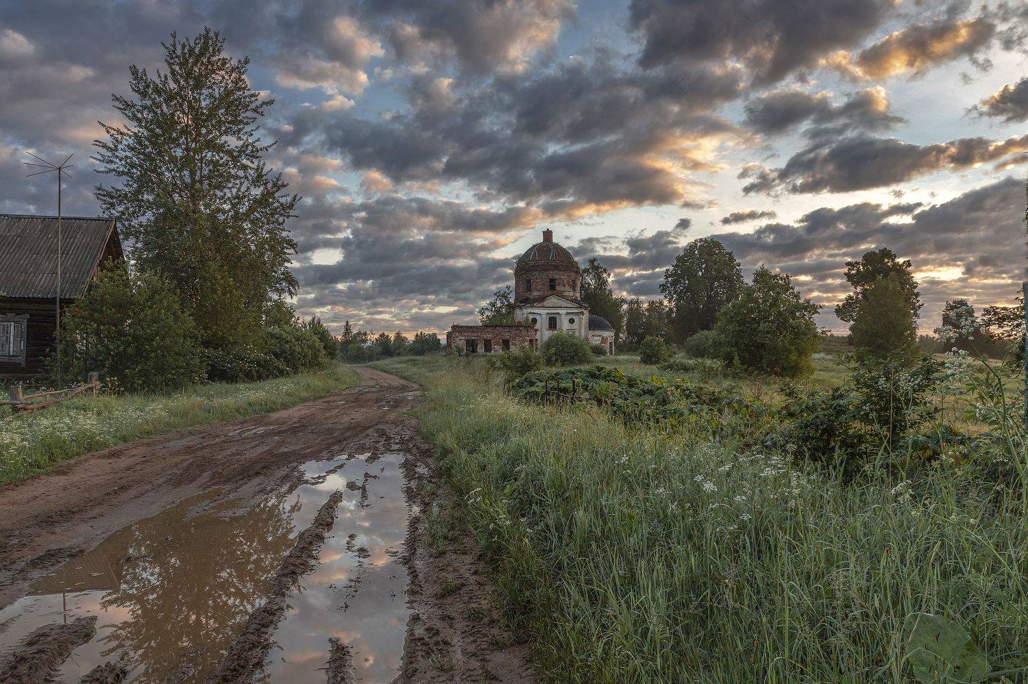 , Елена Гусева