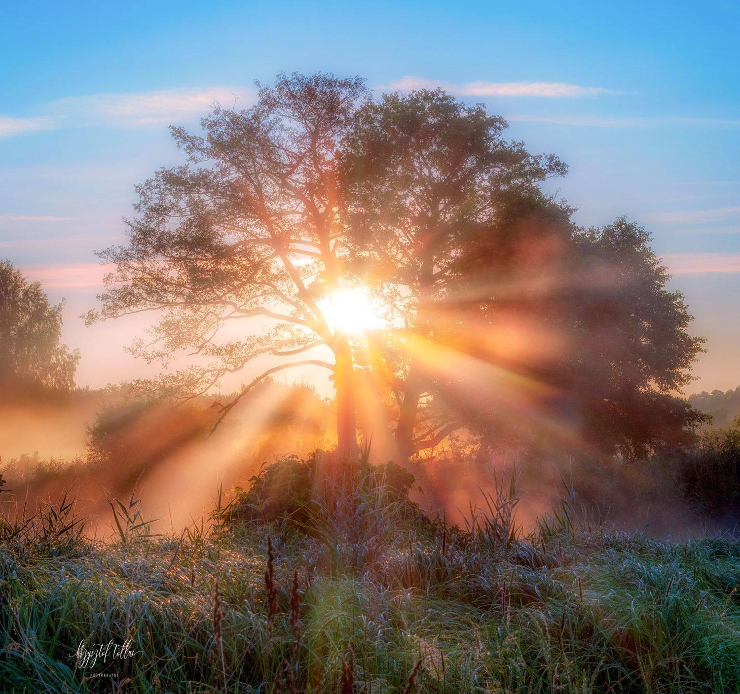 tree  sun  fog  nature  river  light  morning  landscape  atmosphere  sunbeams  sky  clouds  nikon d750  gwda, Krzysztof Tollas