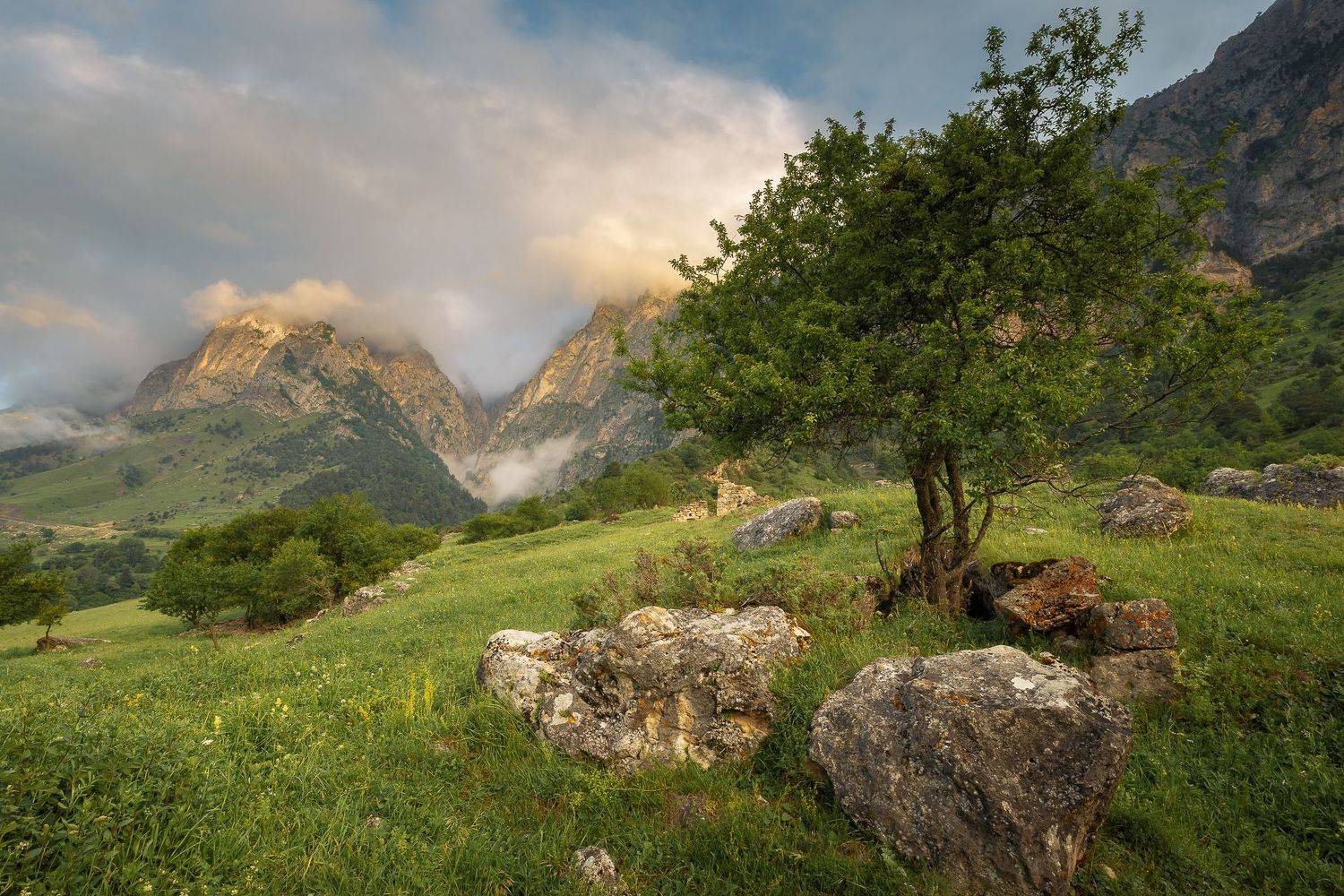 кавказ, ингушетия, Александр Писарев
