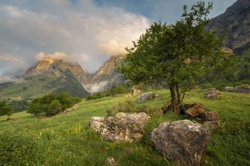 Утром в Ингушетии
