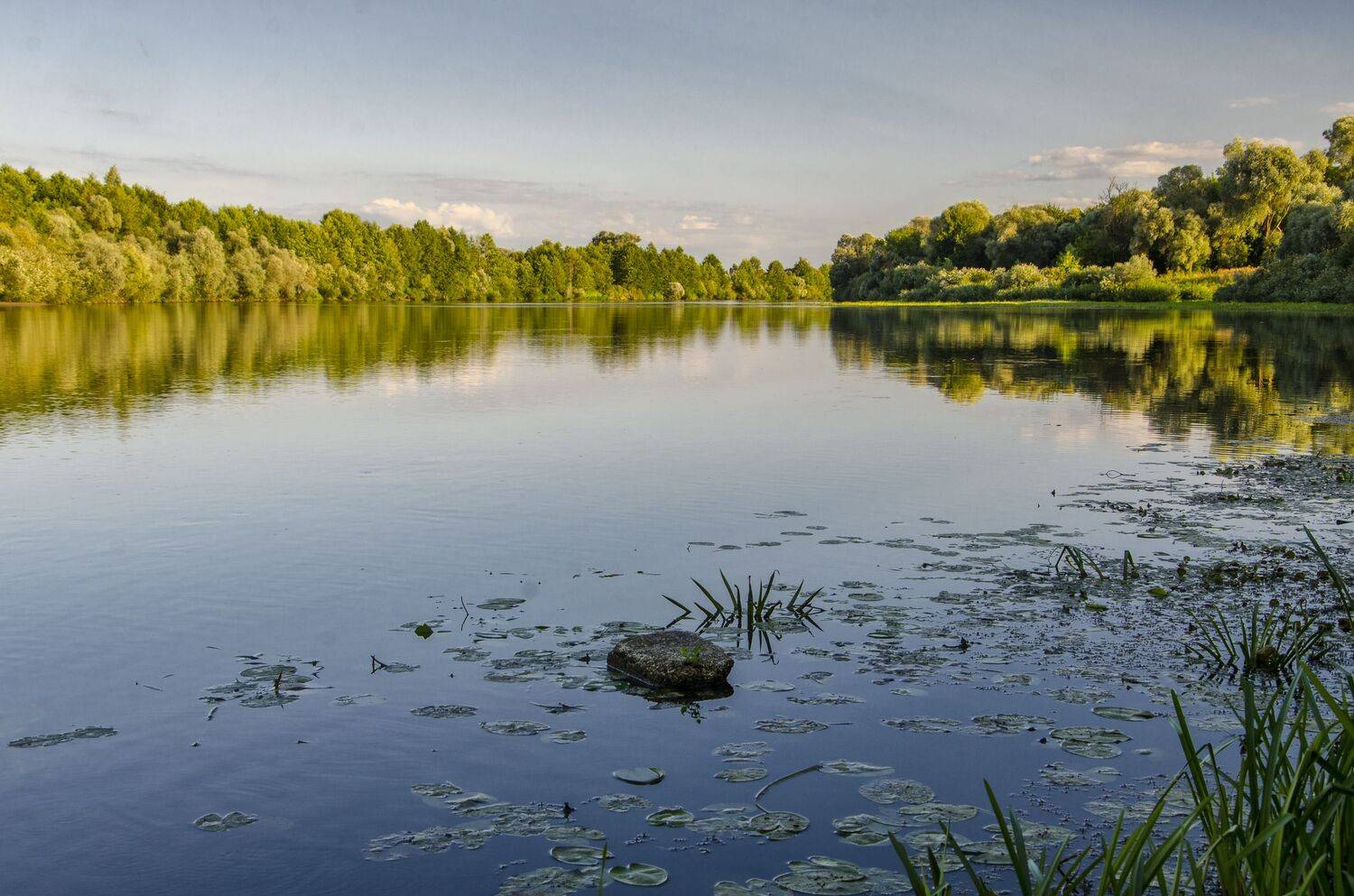 , Александр Березуцкий