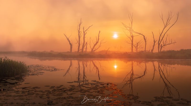 Sunrise фото превью