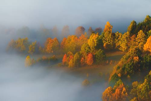 Lady Autumn...