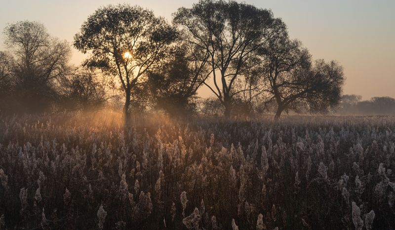 н о я б р ь фото превью
