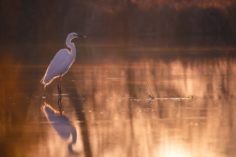 Рассветная фото превью