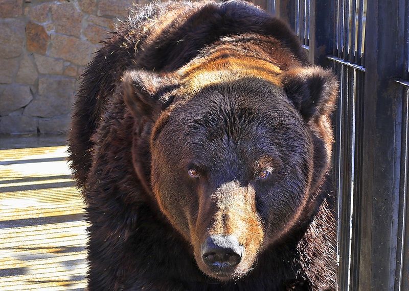 Бегите по радуге фото превью