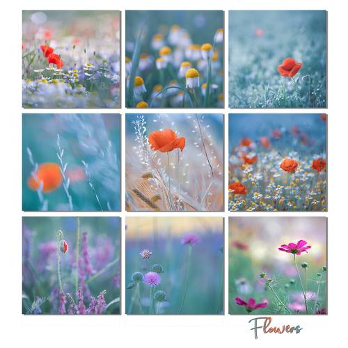 Flowers