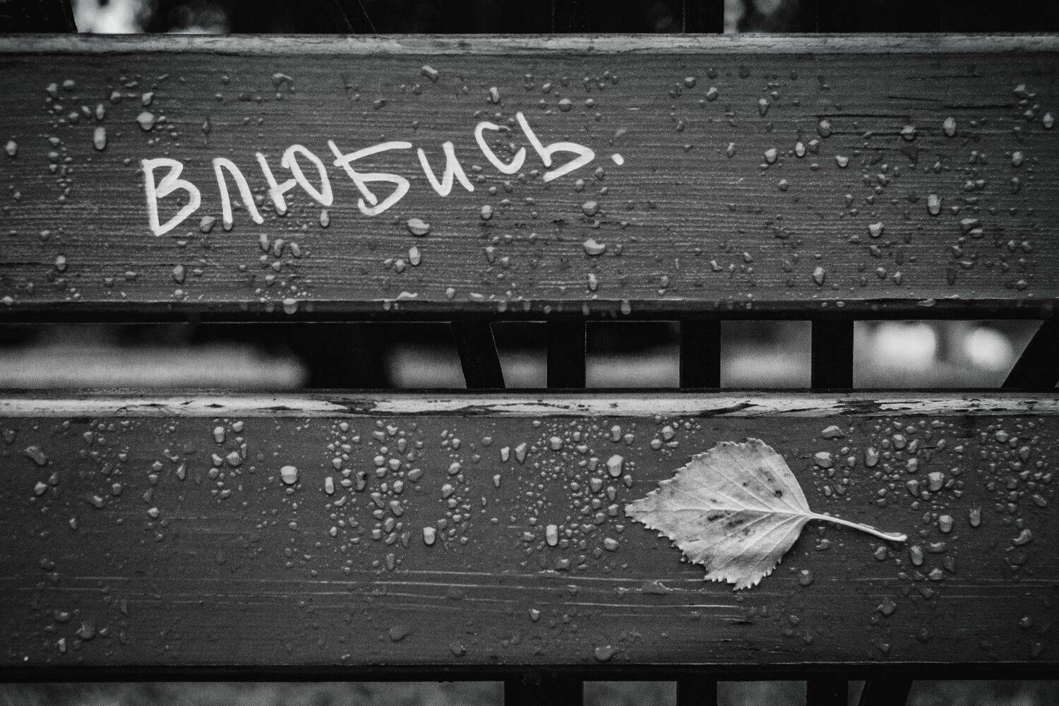 , Юрий Вертиков