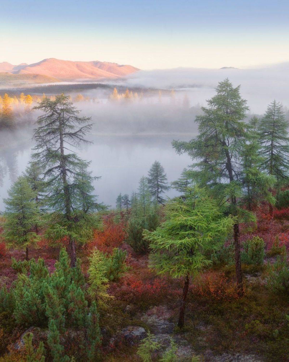 озеро, колыма, озероджекалондона, Дмитрий Медянцев
