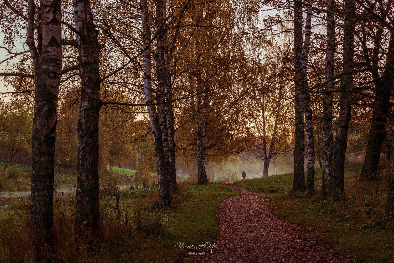 осень, павловск, парк, Илья Юфа