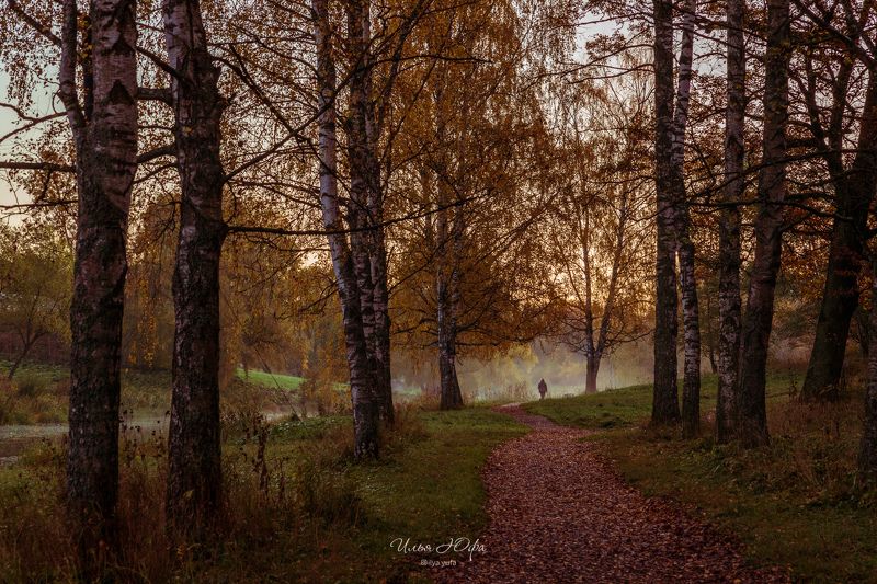осень, павловск, парк Однажды осенним октябрьским утром фото превью