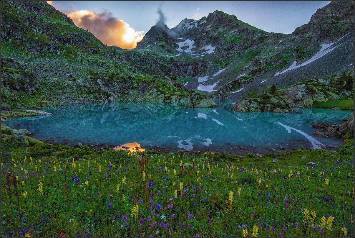 алтай, катунский хр., озеро, цветы, АНАТОЛИЙ ДОВЫДЕНКО