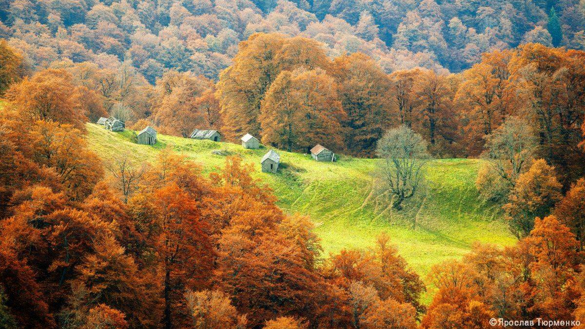 , Ярослав Тюрменко (Jaremi)