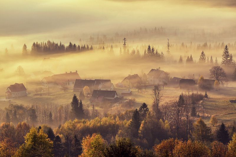 Poranna mgła фото превью
