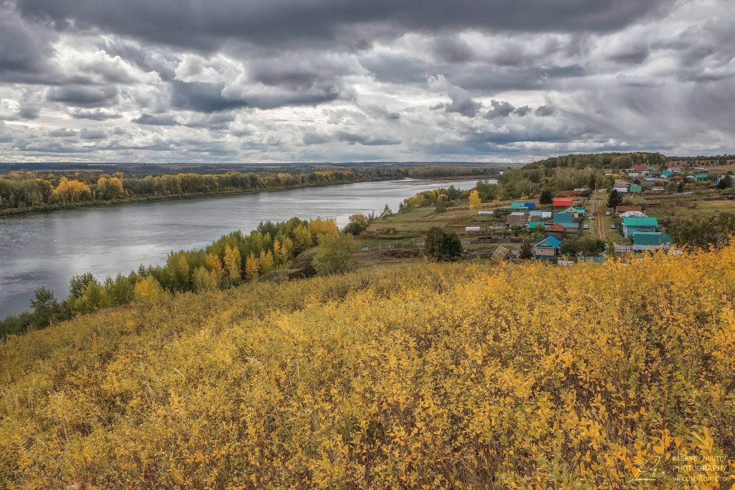 , Алексей Никитин