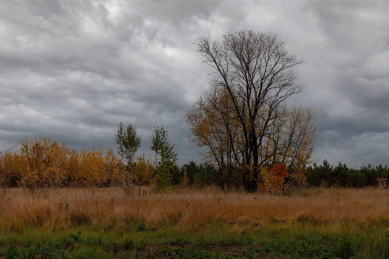 , Марат Кучкаев