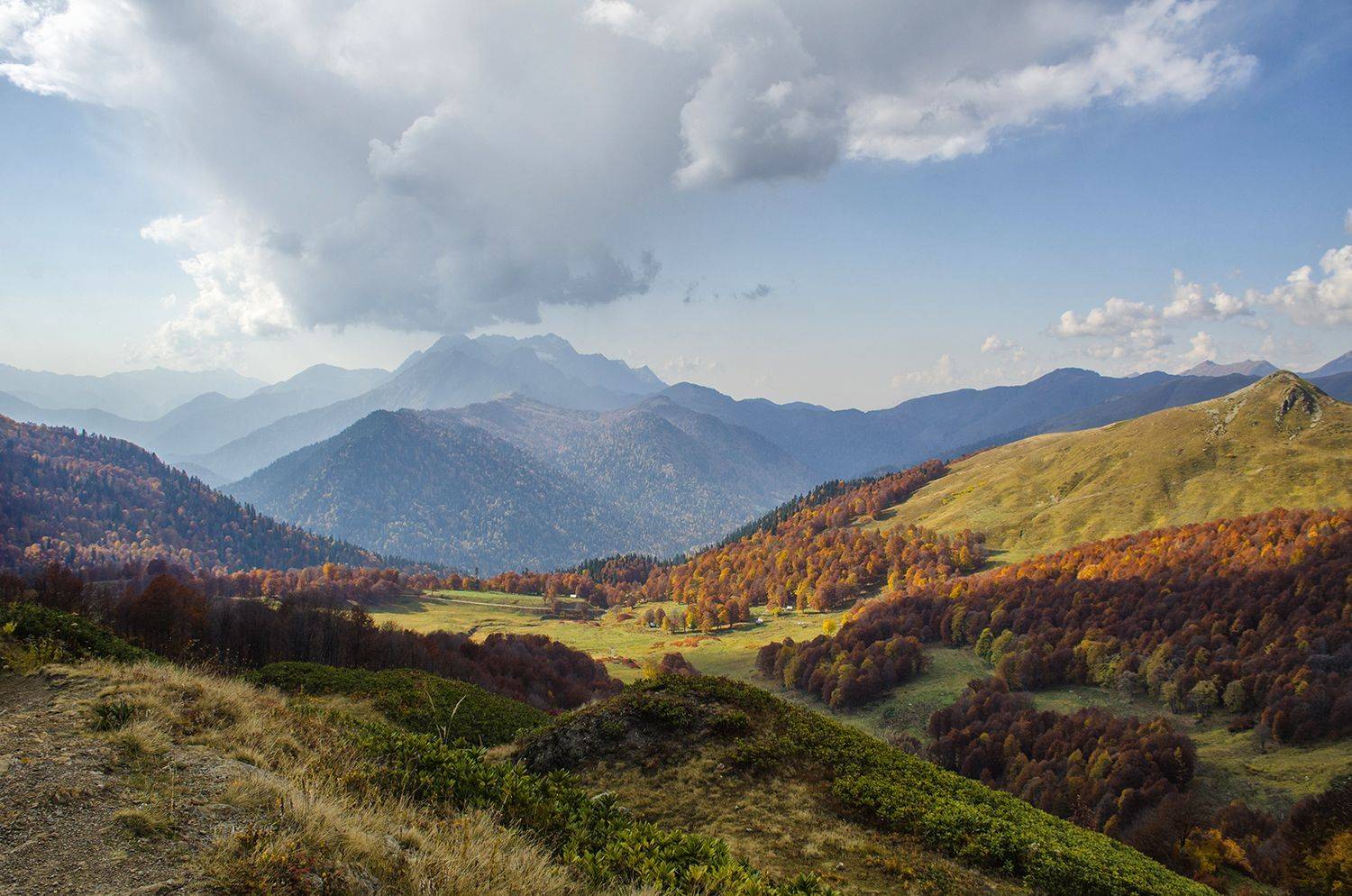 , Александр Березуцкий