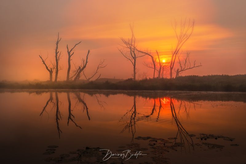 Sunfise фото превью