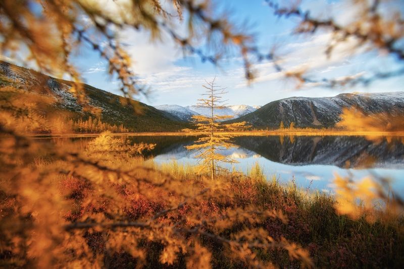 Колыма, осень, Джека Лондона, фотографсрюкзаком Утро на озере Джека Лондона фото превью