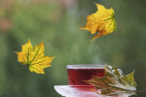 Глоток осени