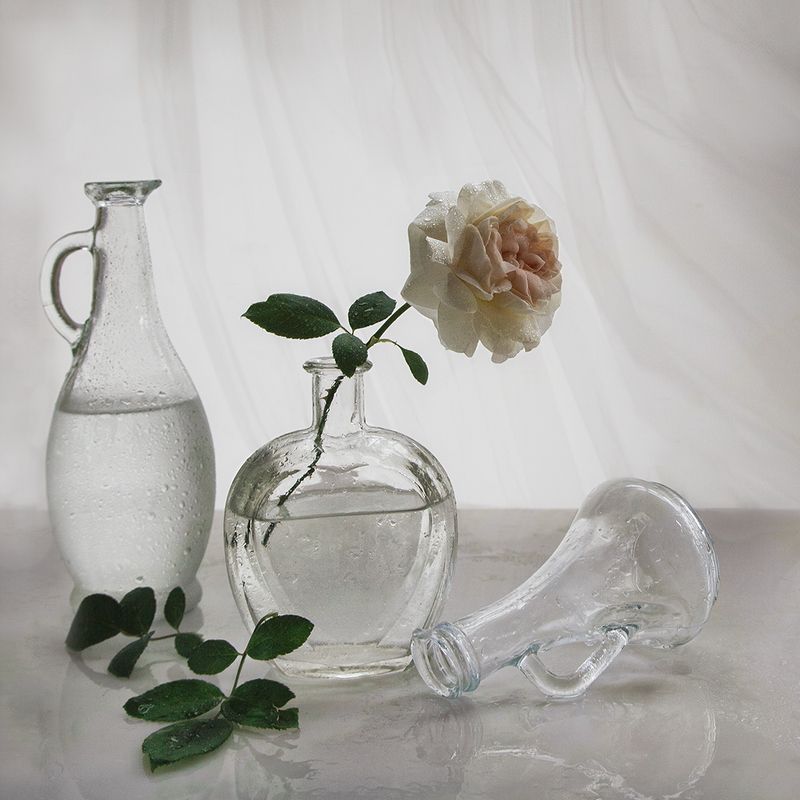 С белой розой фото превью