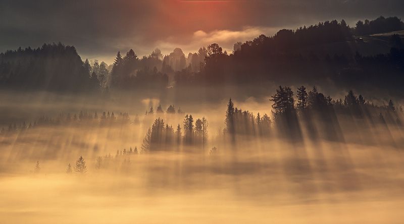 Autumn фото превью