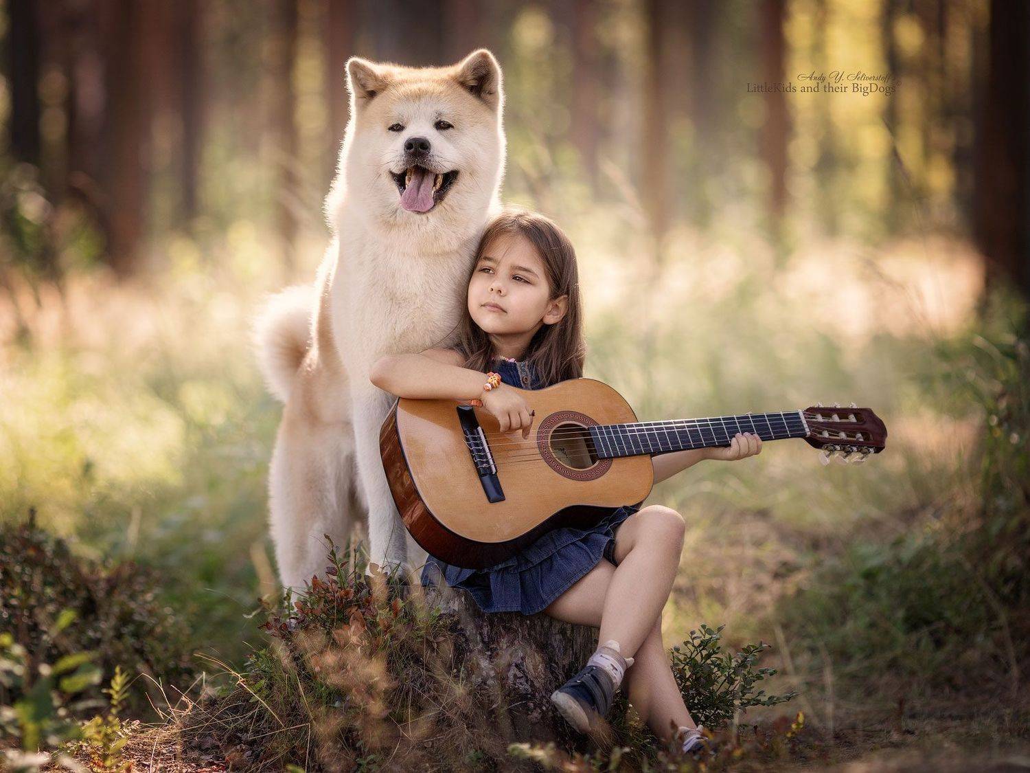 , Андрей Селиверстов