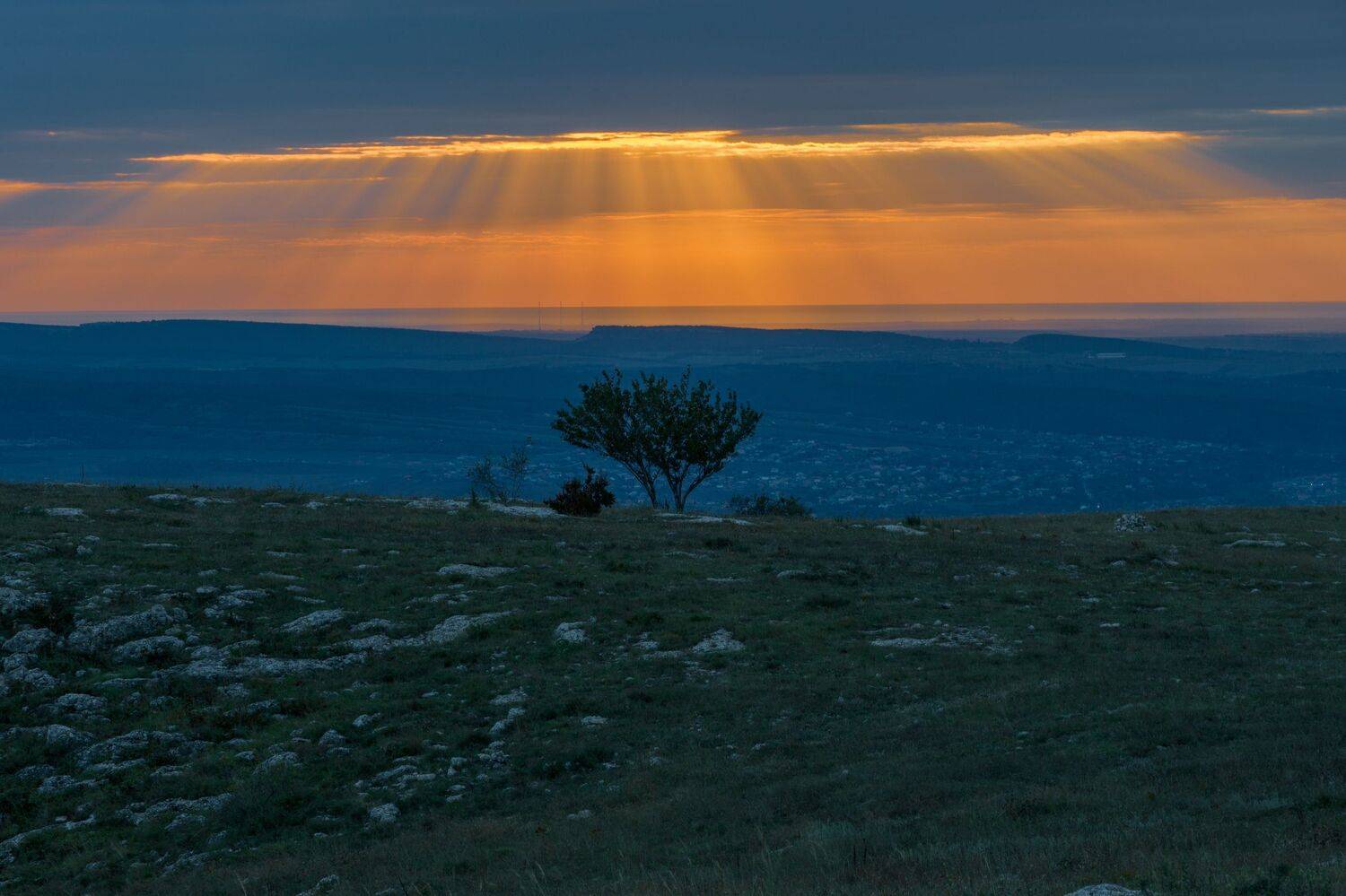 , Андрей Кривцов