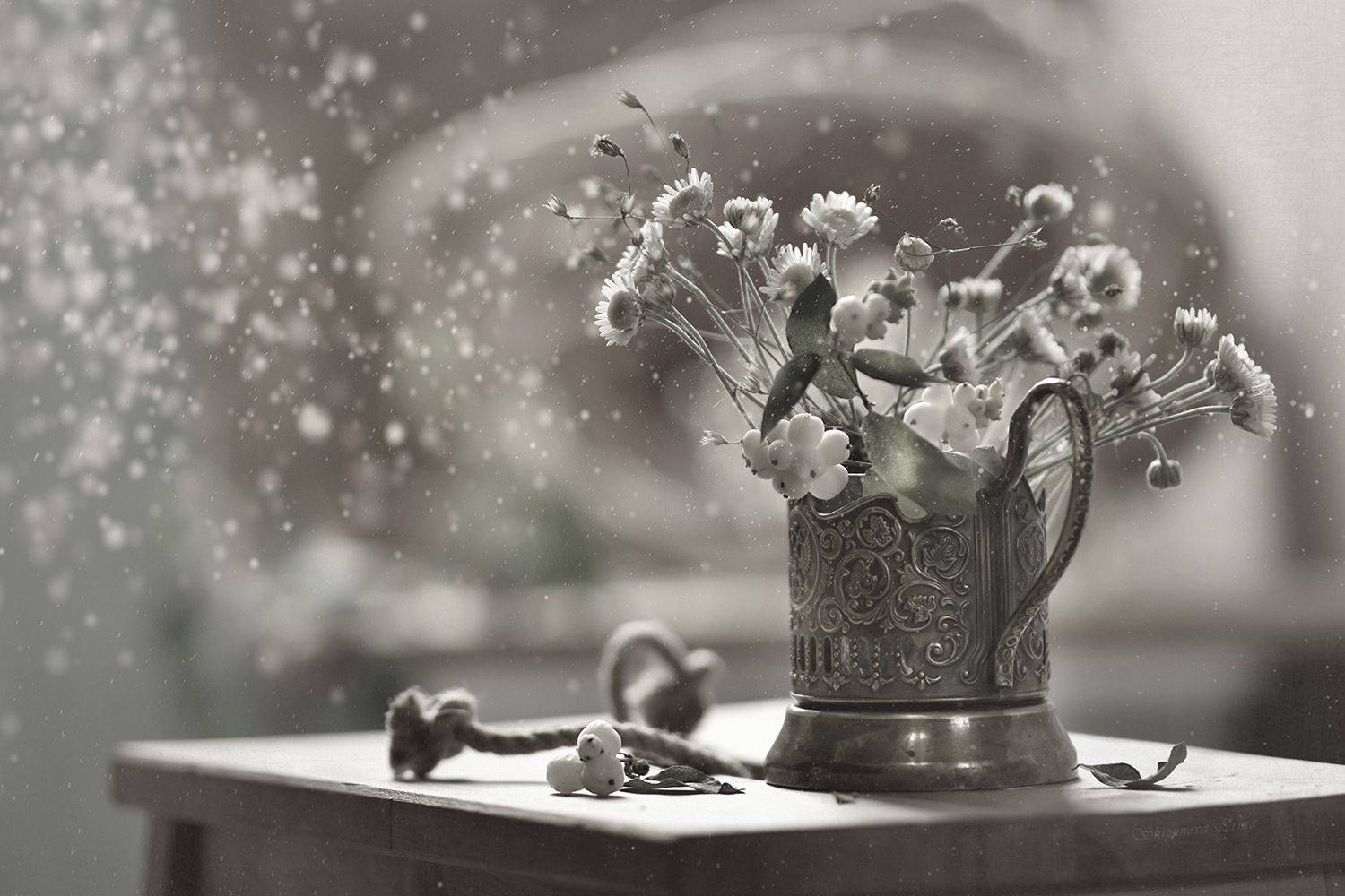 , Шипунова Ирина