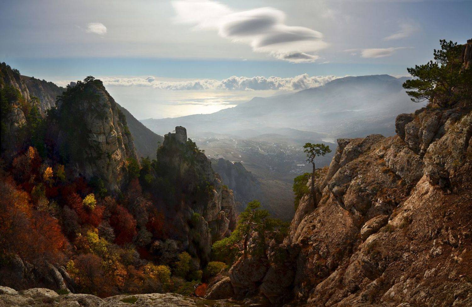 , Владимир Метцгер