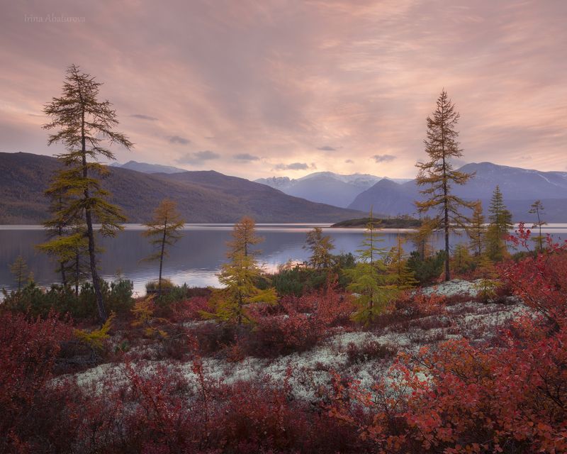 Колыма, Магадан, озеро Джека Лондона, осень Вечер на косе гидробиологов фото превью