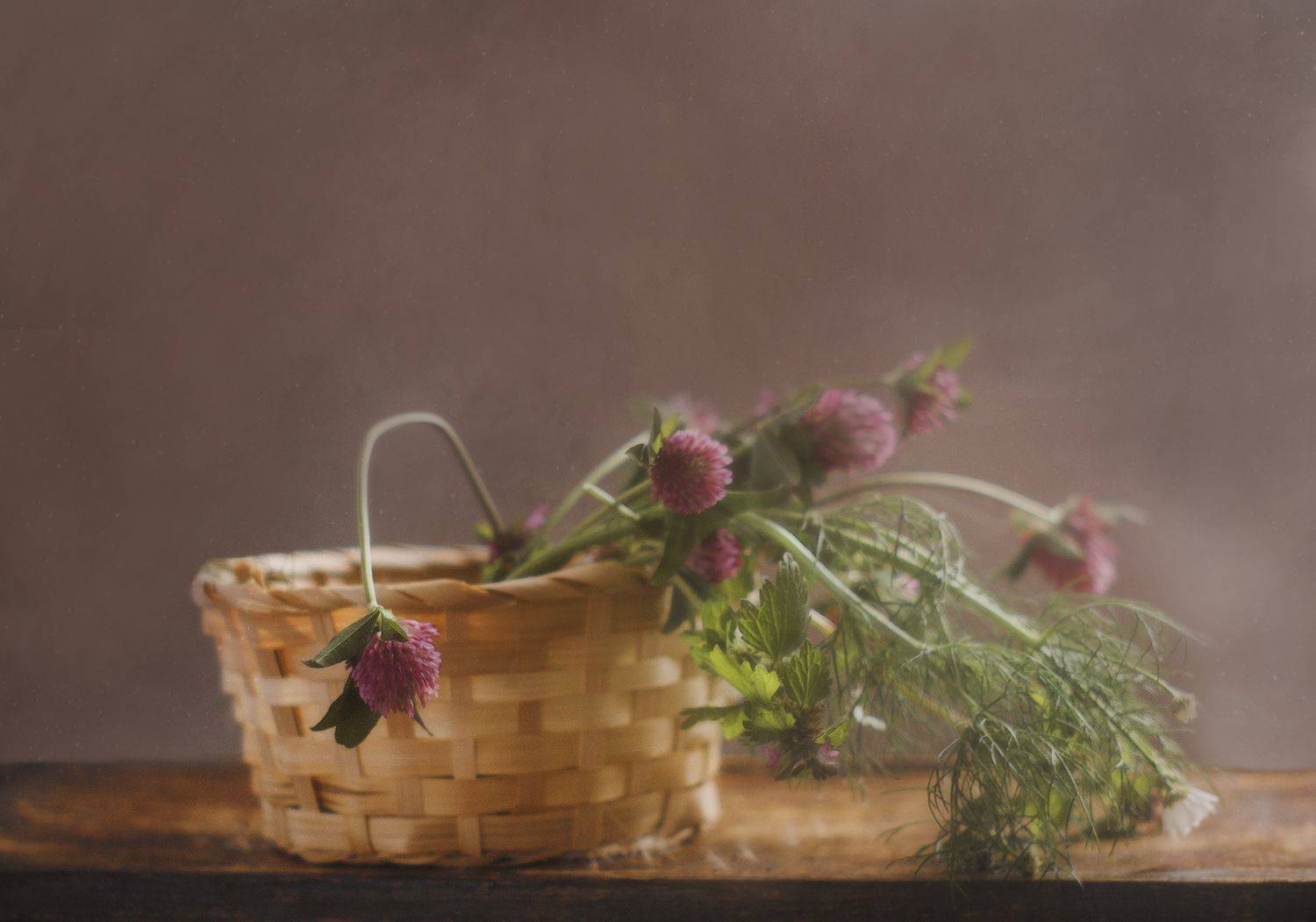 , Ольга Сидорова