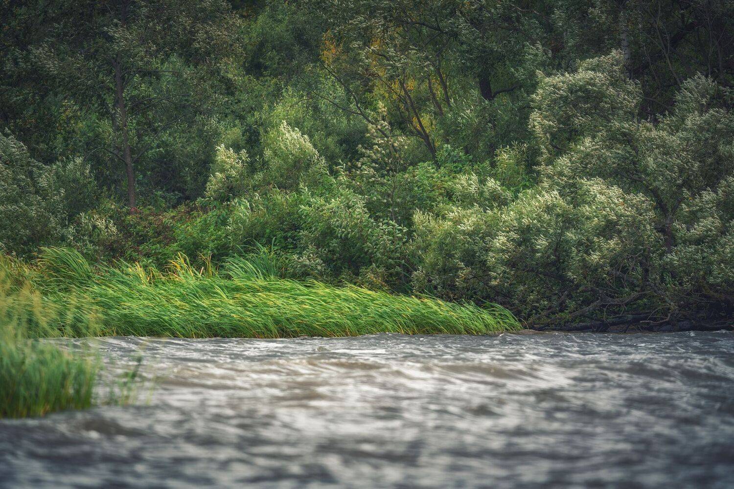 , Константин Дэм