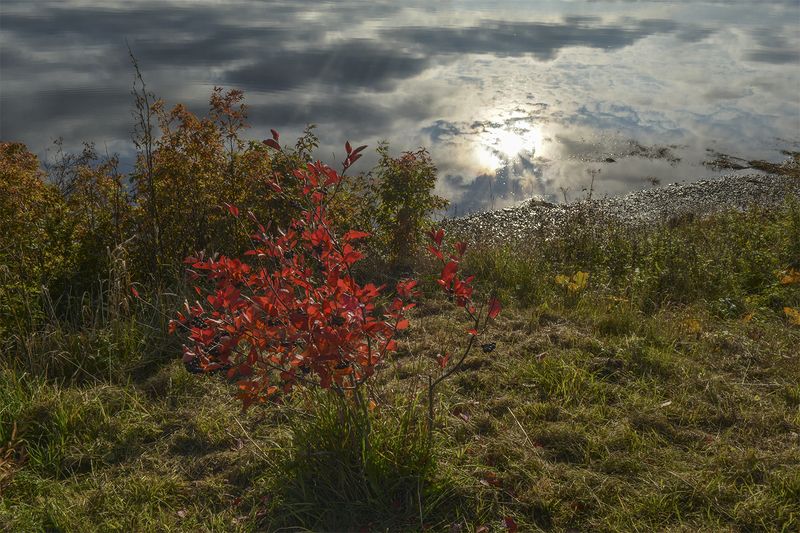 Осенняя фантазия. фото превью