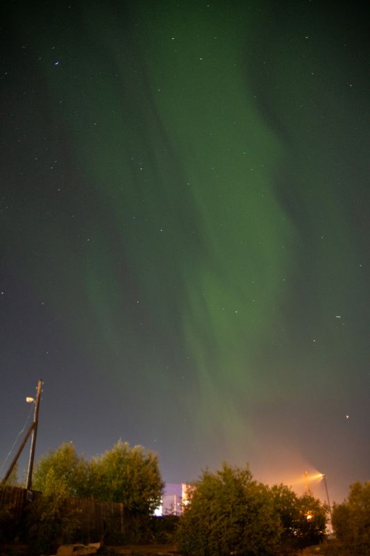 aurora, north, winter, frost, night, nightlights, sky, nightsky, light  фото превью