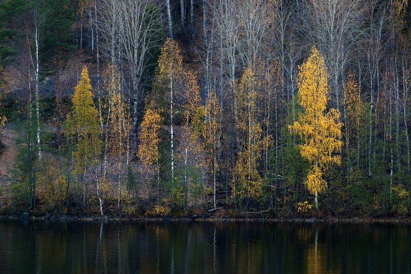 карелия *** фото превью