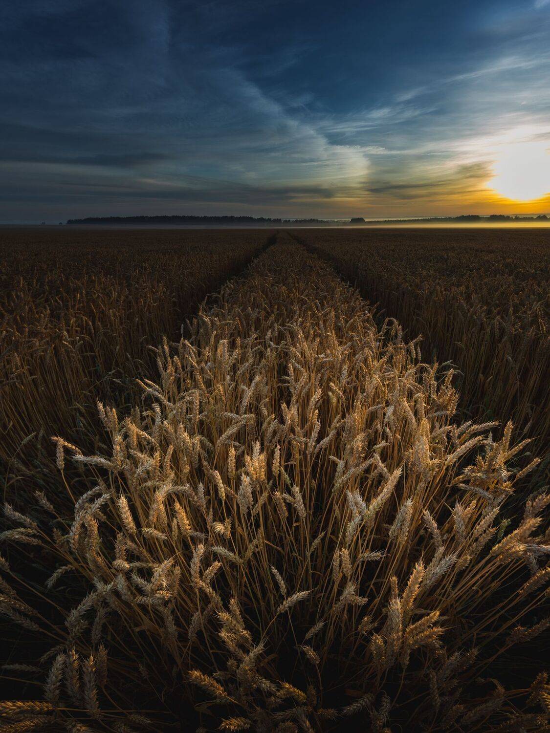 , Николай Брытков