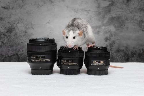 Эй, фотограф, объективы нужны? Дёшево продам!