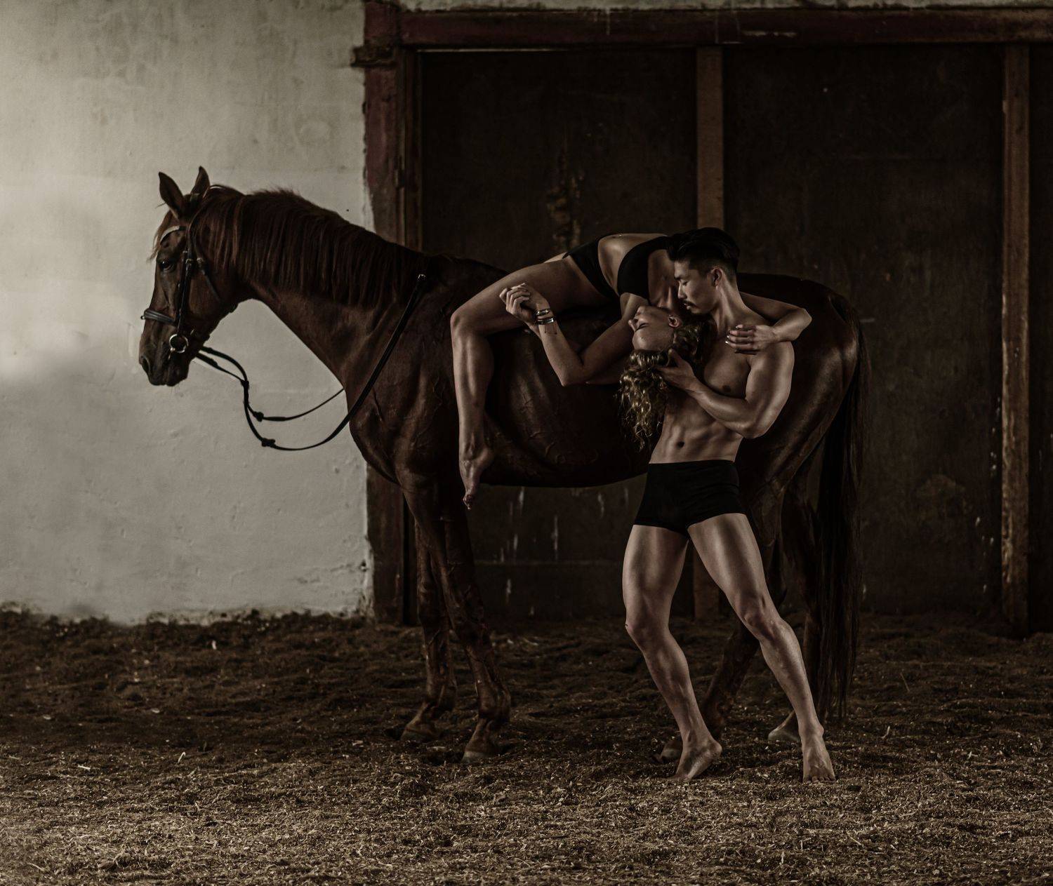 , Терра Алена