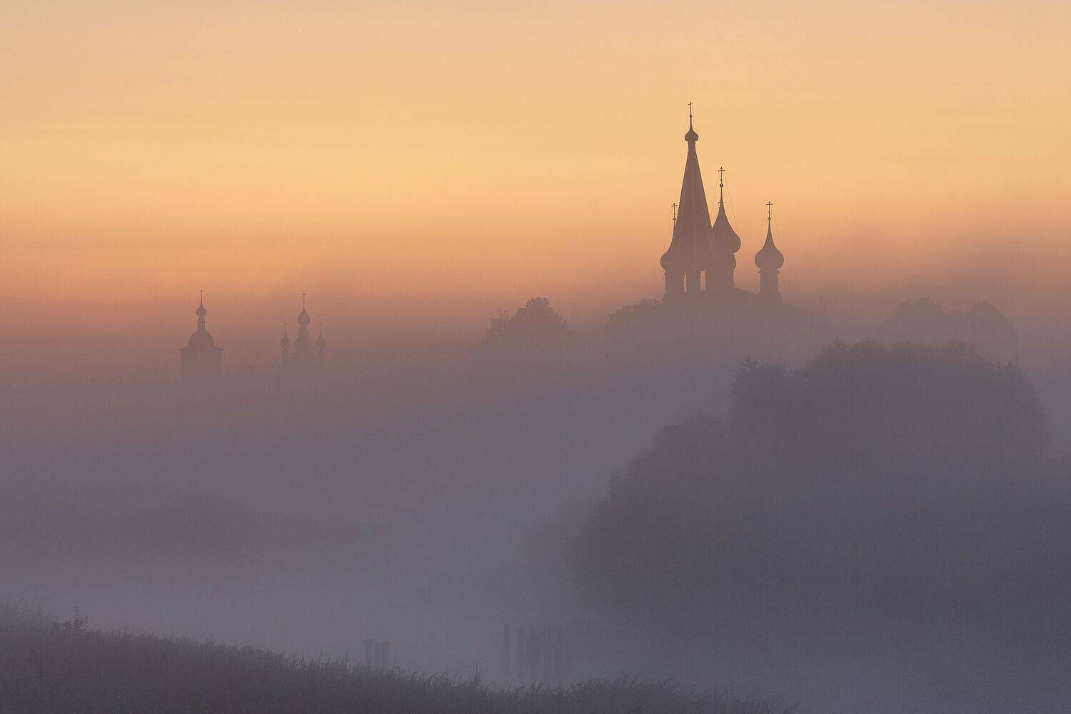 , Елена Гусева