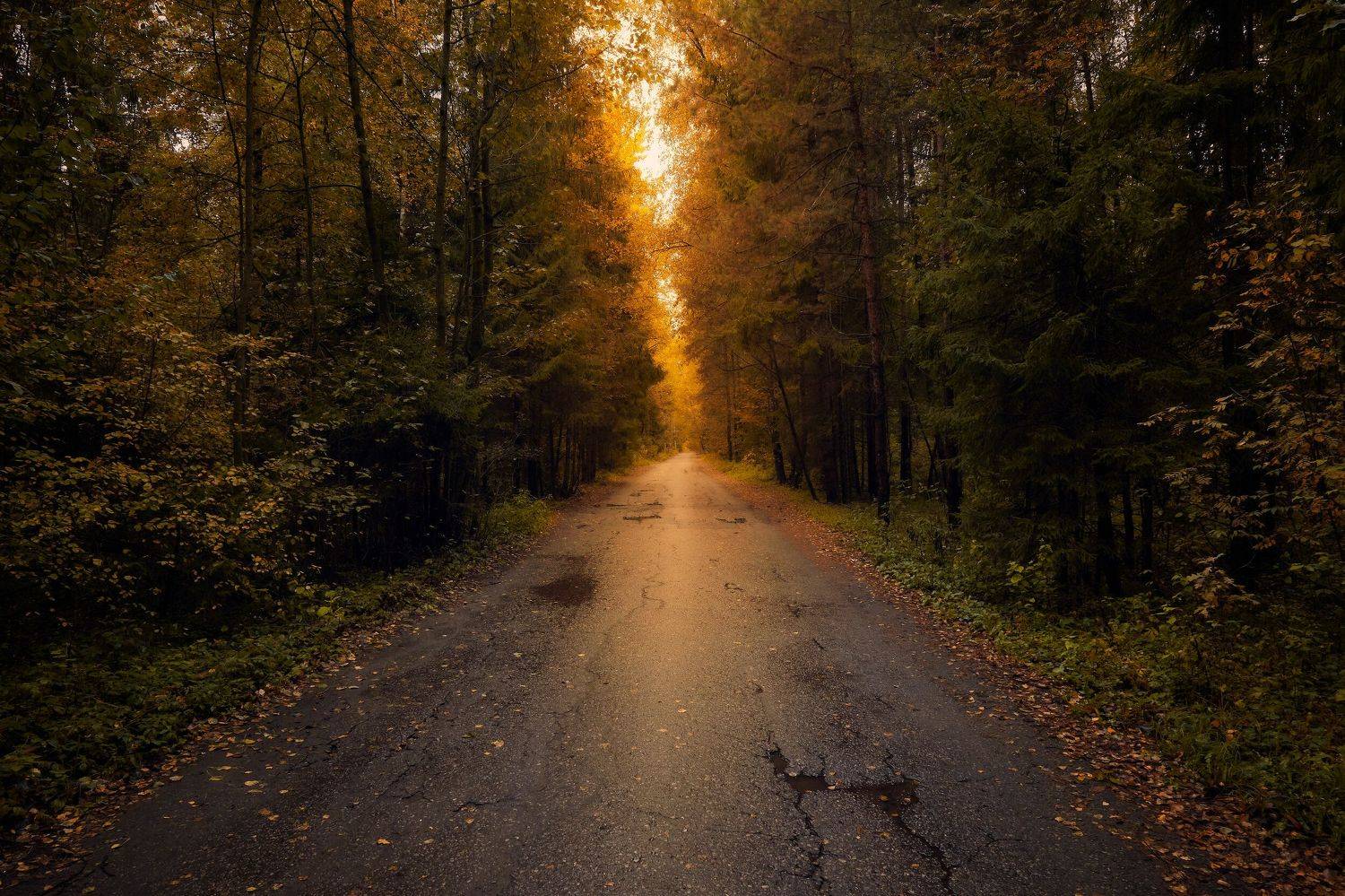 , Булатов Дмитрий