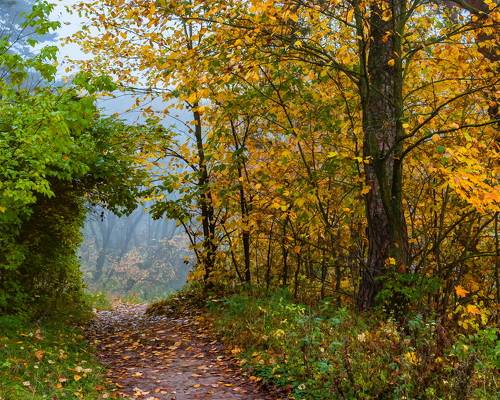 По тропинкам осени