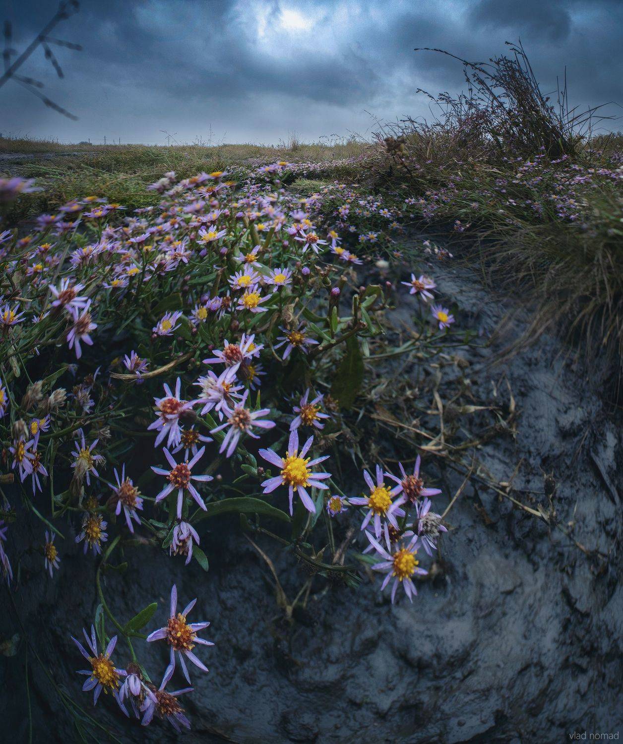 , Влад Епифанов