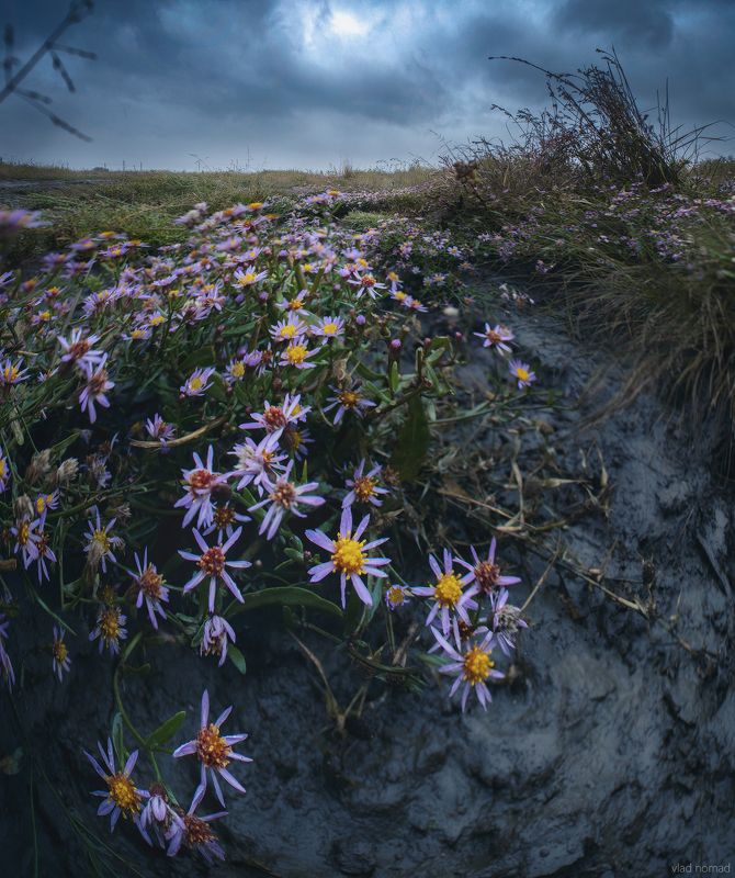 ... фото превью