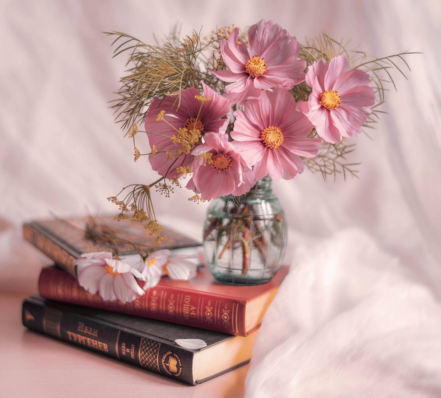 , Лапшина Владлена